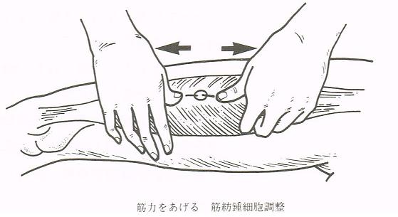 大阪心斎橋のエルンテ整体　筋紡錘による筋肉強化